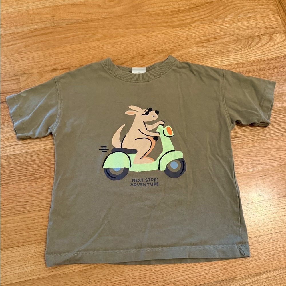 Zara toddler boys graphic tee